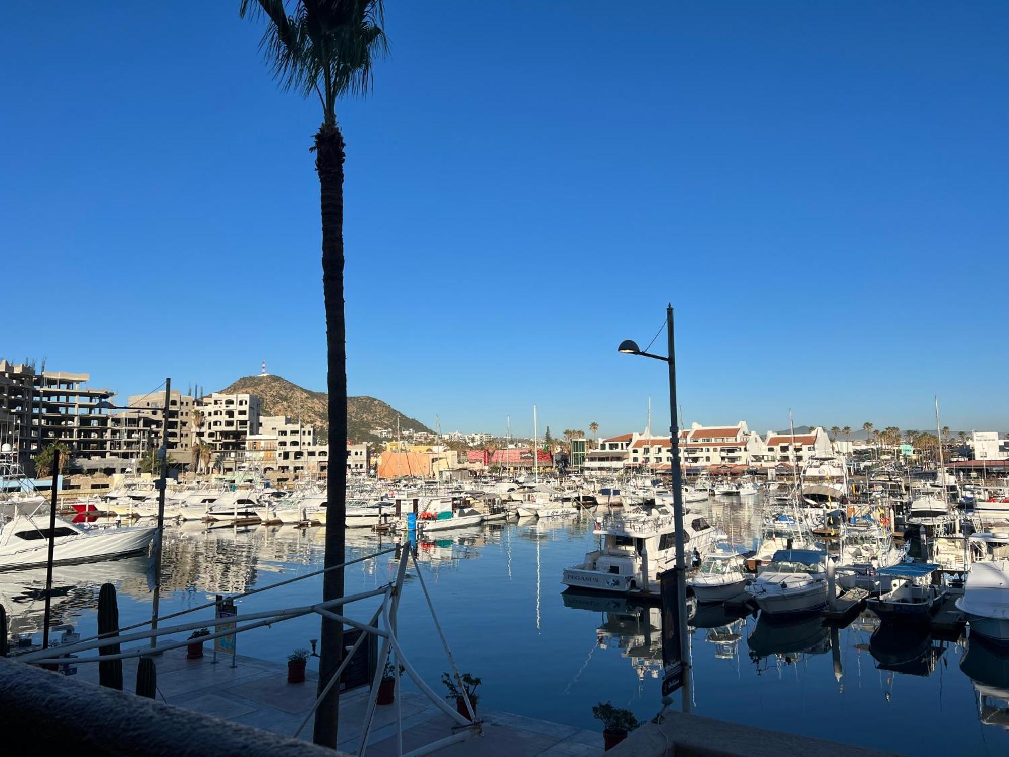 Cabowilson Apartment Cabo San Lucas Bagian luar foto